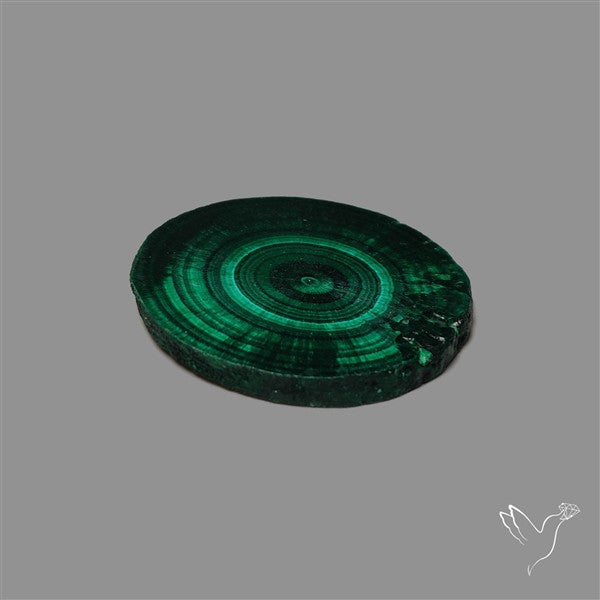 Rare Malachite Stalactite with Chattoyancy Slice