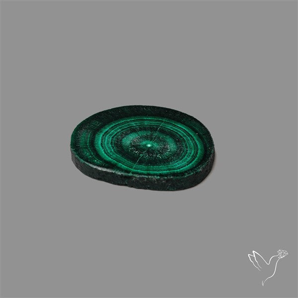 Rare Malachite Stalactite with Chattoyancy Slice