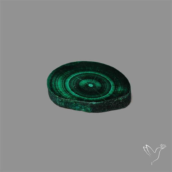 Rare Malachite Stalactite with Chattoyancy Slice