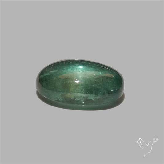 Green Kyanite Cabochon