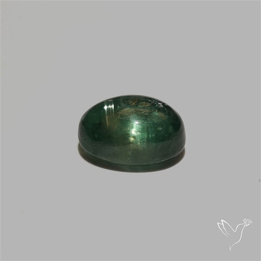 Green Kyanite Cabochon