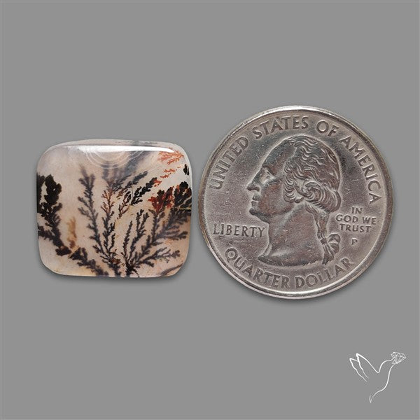 Scenic Agate Cabochon