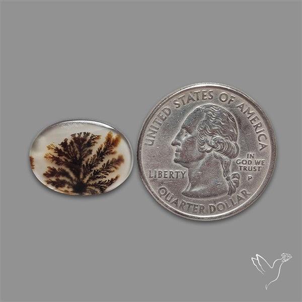 Scenic Agate Cabochon