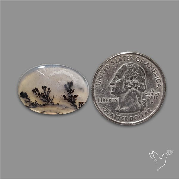 Scenic Agate Cabochon
