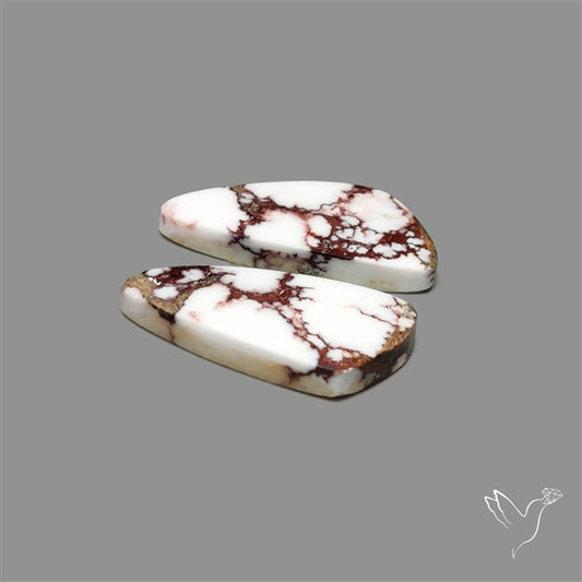 Wild Horse Jasper Pair