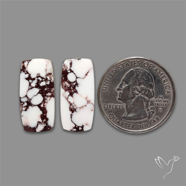 Wild Horse Jasper Pair