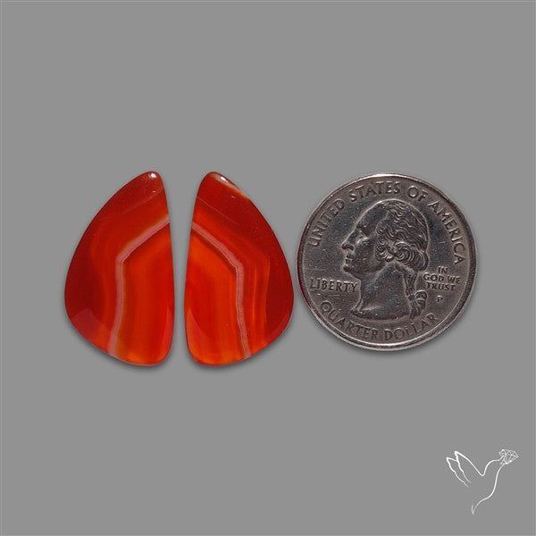 Lake Superior Agate Pair