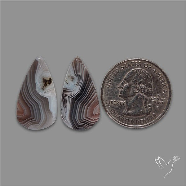Botswana Agate Pair