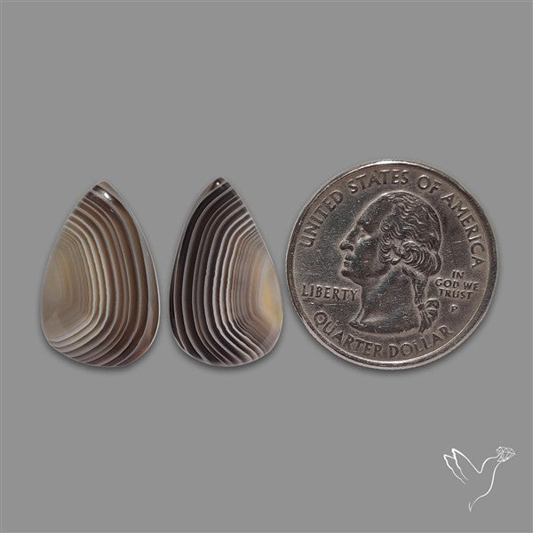 Botswana Agate Pair