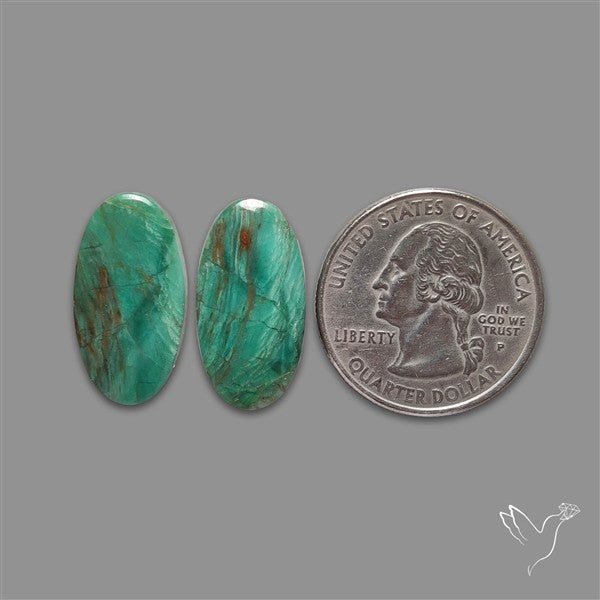 Gary Green Jasper Larsonite Pair