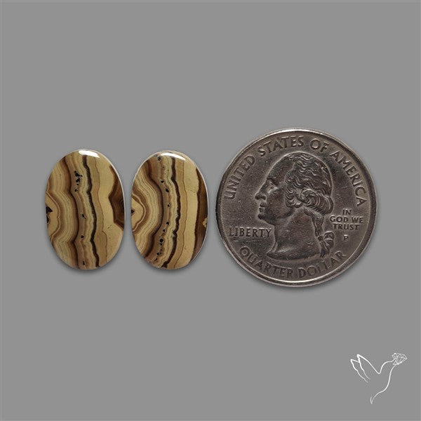 Schalenblende Pair