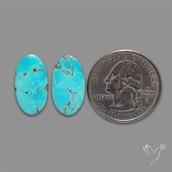 Arizona Turquoise Pair