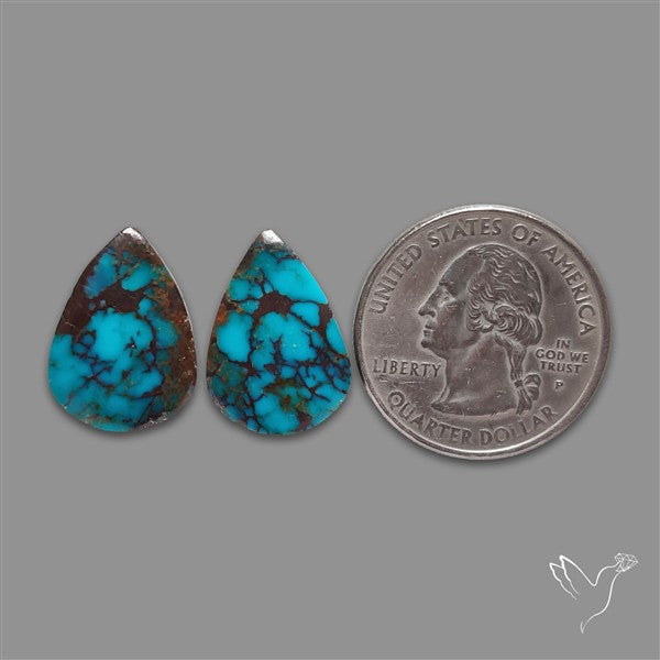 Arizona Turquoise Pair