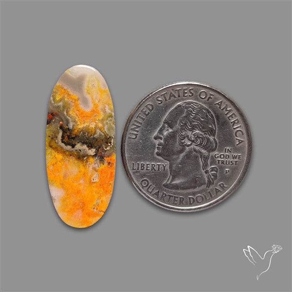 Bumble Bee Jasper Cabochon