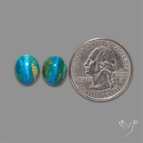 Peruvian Opalina Pair