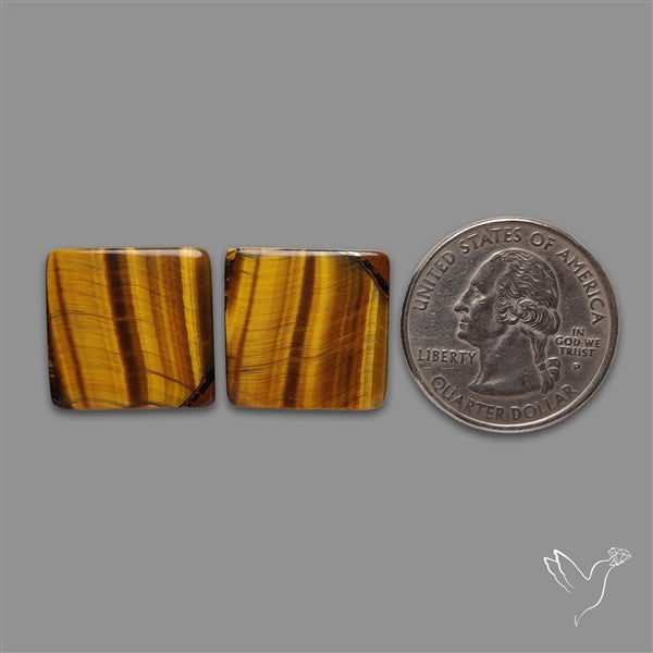 TIger Eye Pair