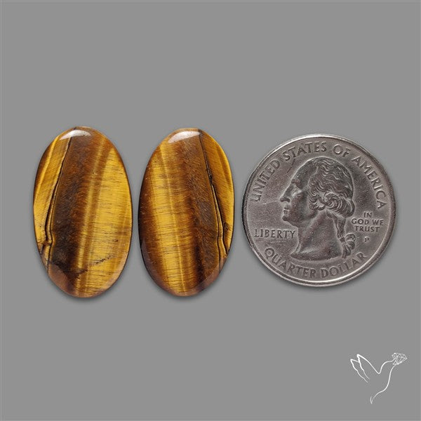 TIger Eye Pair