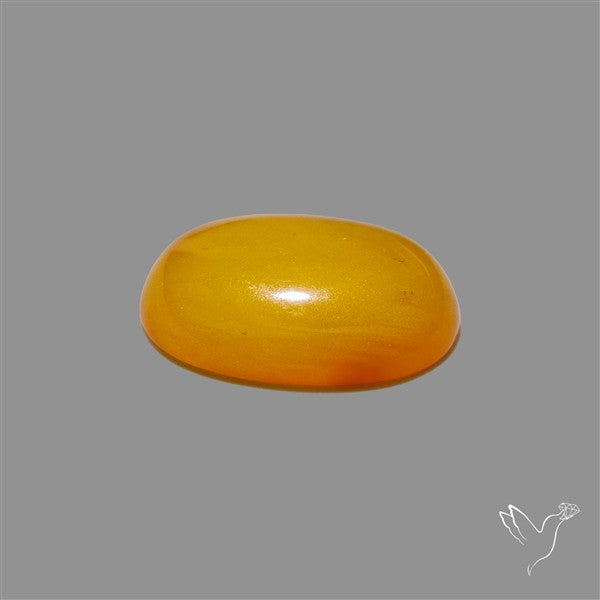Butterscotch Baltic Amber Cabochon