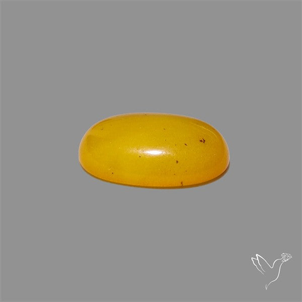Butterscotch Baltic Amber Cabochon