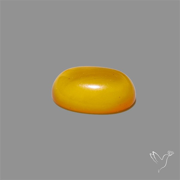 Butterscotch Baltic Amber Cabochon