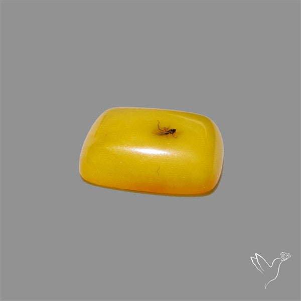 Butterscotch Baltic Amber Cabochon