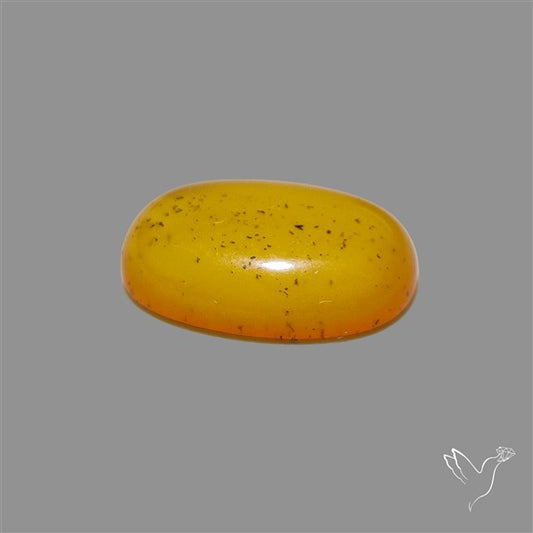 Butterscotch Baltic Amber Cabochon