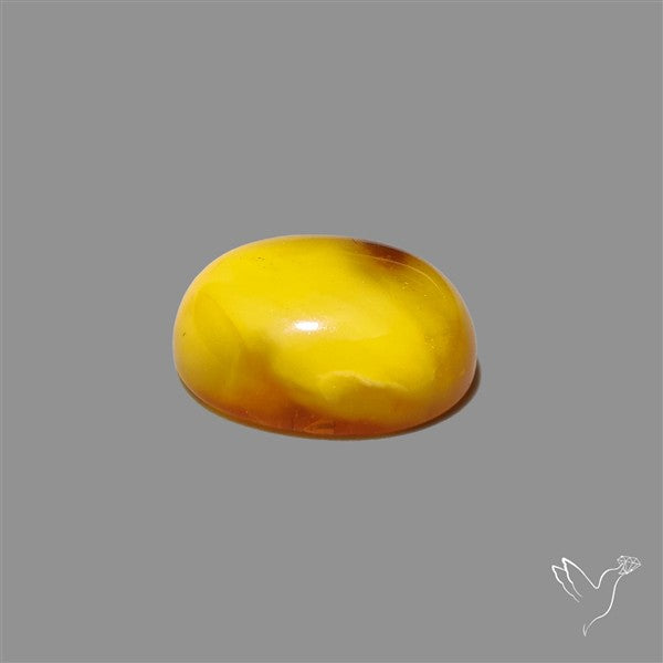 Butterscotch Baltic Amber Cabochon