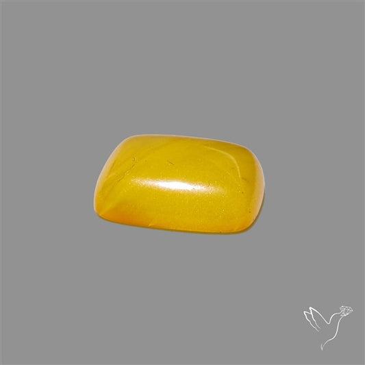 Butterscotch Baltic Amber Cabochon