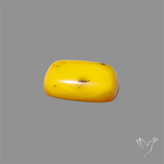 Butterscotch Baltic Amber Cabochon