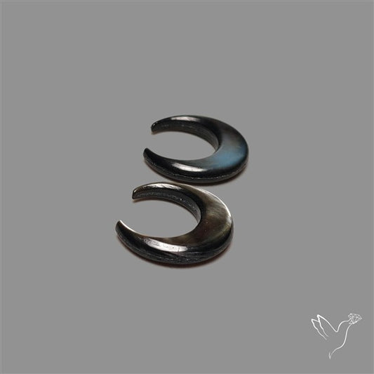 Tahitian Mother Of Pearl Crescents Pair