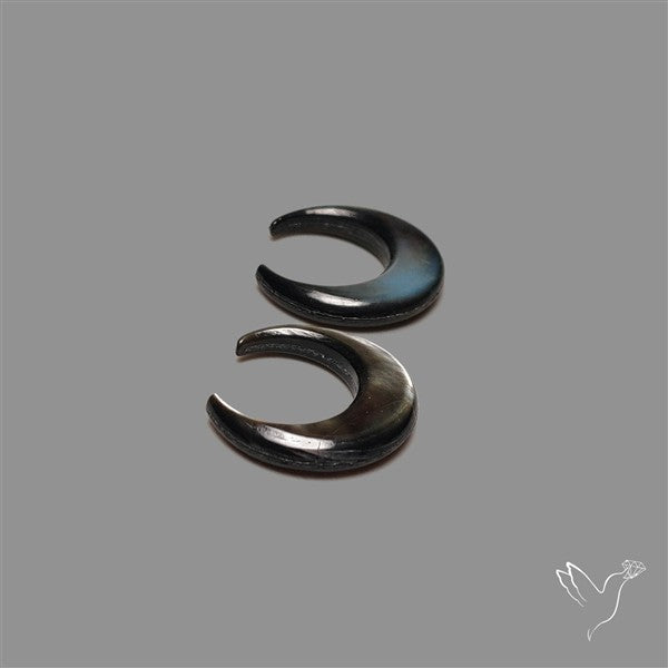 Tahitian Mother Of Pearl Crescents Pair