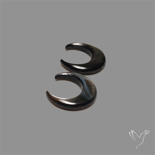 Tahitian Mother Of Pearl Crescents Pair