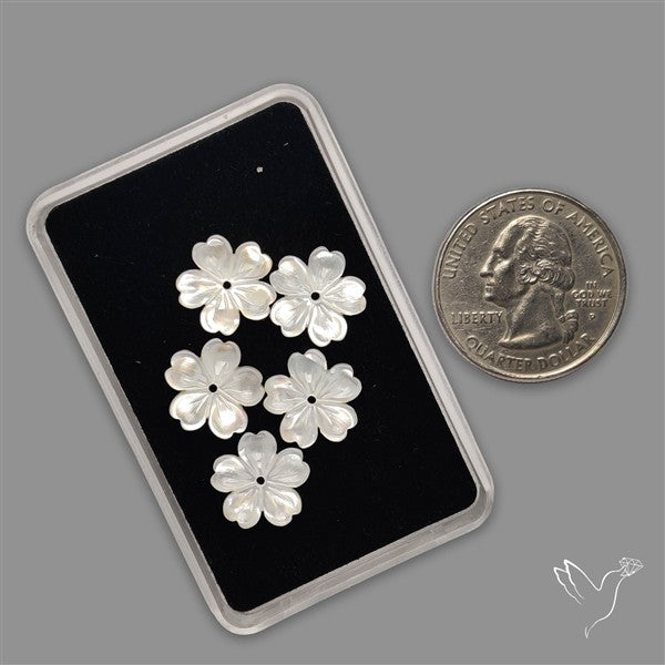 Small Mother Of Pearl Drilled Flowers Lot
