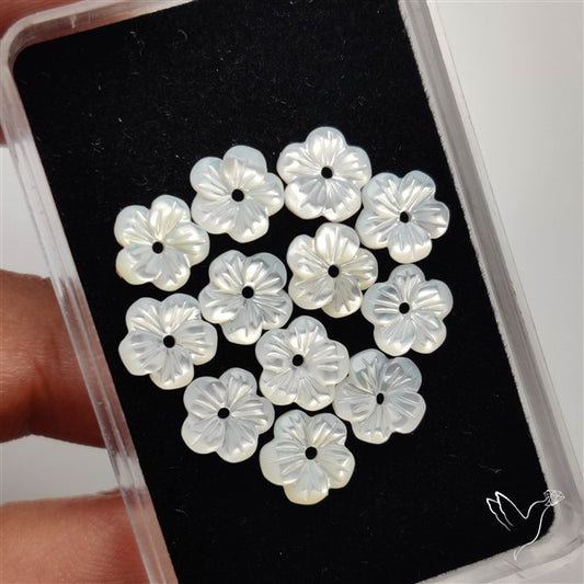 Small Mother Of Pearl Drilled Flowers Lot