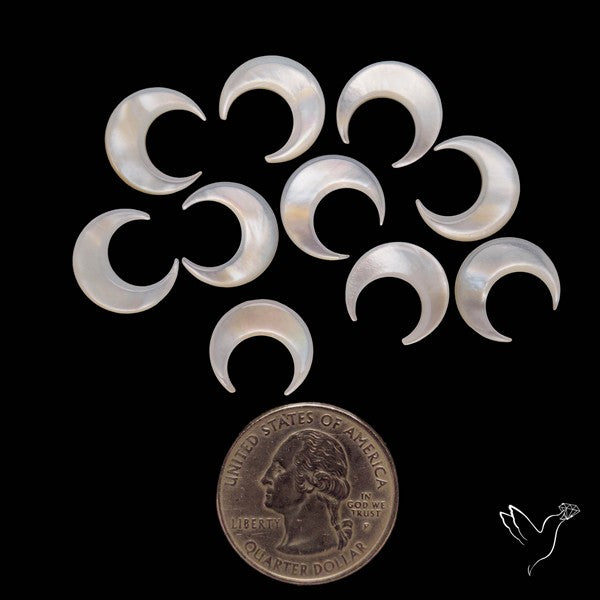 Small Mother Of Pearl Crescents Lot