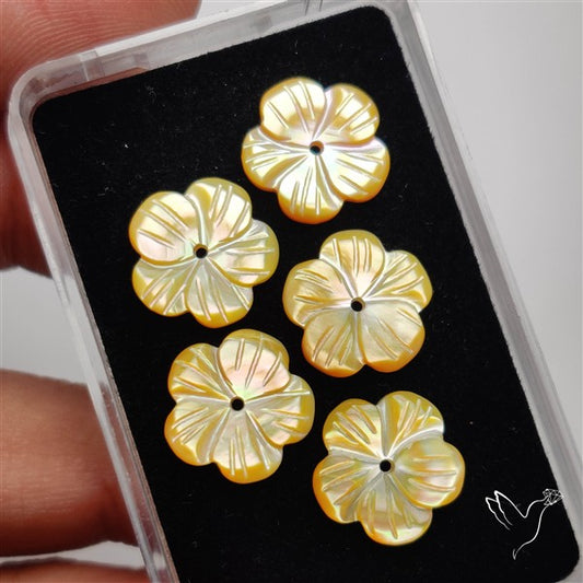 Small Mother Of Pearl Drilled Flowers Lot