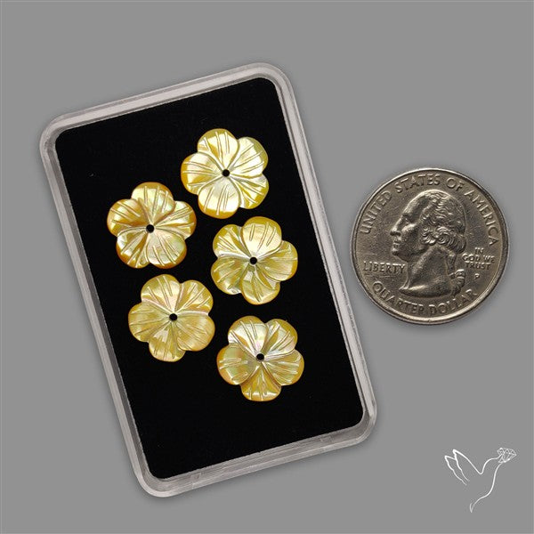 Small Mother Of Pearl Drilled Flowers Lot