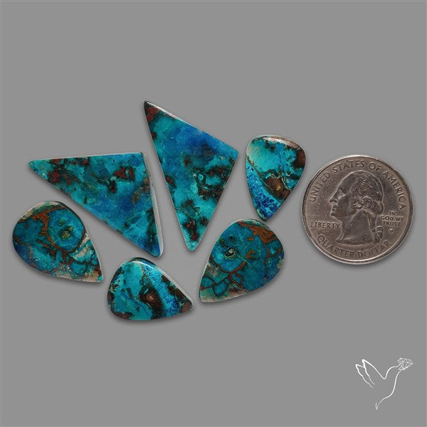 Chrysocolla Cabochons Lot