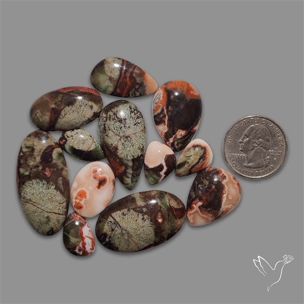 Dragon Blood Jaspers Lot