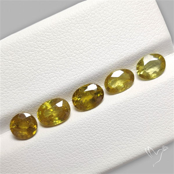 Fine Sphene Faceted Fine Gemstone Set