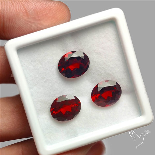 Red Almandine (Pyrope) Garnet Faceted Mozambique Garnet Gemstone Set