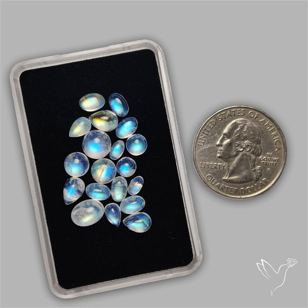 Rainbow Moonstone Cabochons Lot