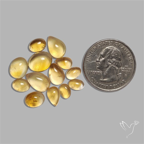 Natural Bicolor Citrine Cabochons Lot