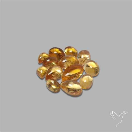 Natural Bicolor Citrine Cabochons Lot