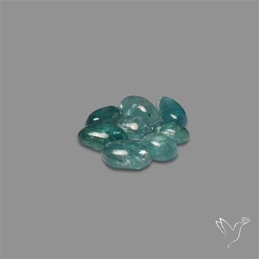 Paraiba Blue Kyanite Cabochons Lot