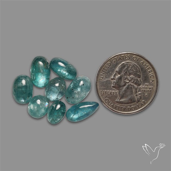 Paraiba Blue Kyanite Cabochons Lot