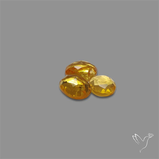 Rose Cut Citrine Quartz Lot