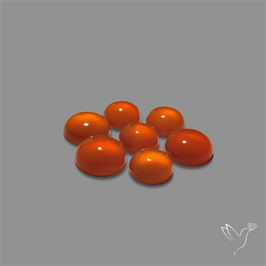 Carnelian Agate Rounds Lot