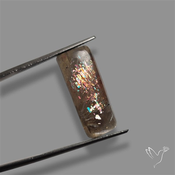 Black Moonstone With Sunstone Inclusions Cabochon