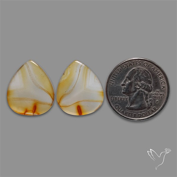 Montana Agate Pair
